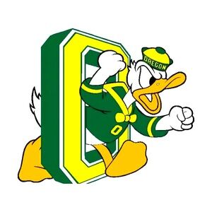 Ducks outfit leggings and sweater